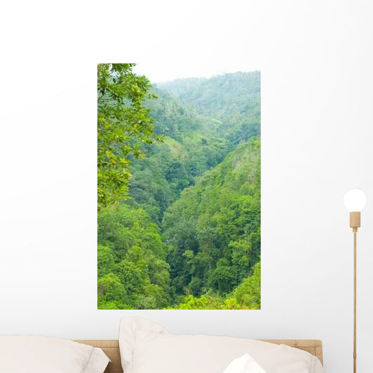 Bali Forest Wall Decal