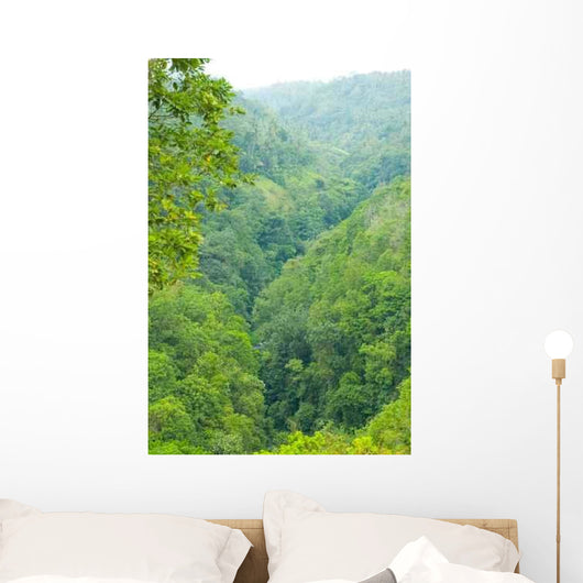 Bali Forest Wall Decal