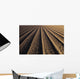 California, Field Of Plowed Soil Ready For Planting Wall Mural