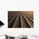 California, Field Of Plowed Soil Ready For Planting Wall Mural
