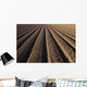 California, Field Of Plowed Soil Ready For Planting Wall Mural