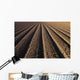 California, Field Of Plowed Soil Ready For Planting Wall Mural