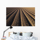 California, Field Of Plowed Soil Ready For Planting Wall Mural
