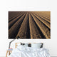 California, Field Of Plowed Soil Ready For Planting Wall Mural