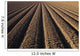 California, Field Of Plowed Soil Ready For Planting Wall Mural