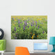 California, Beautiful Meadow Of Lupine And California Poppies Wall Mural