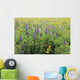 California, Beautiful Meadow Of Lupine And California Poppies Wall Mural