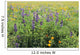 California, Beautiful Meadow Of Lupine And California Poppies Wall Mural