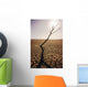 USA, California, Tree snag and cracked mud in dry lake bed Wall Mural
