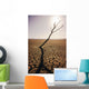 USA, California, Tree snag and cracked mud in dry lake bed Wall Mural