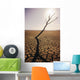 USA, California, Tree snag and cracked mud in dry lake bed Wall Mural