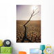 USA, California, Tree snag and cracked mud in dry lake bed Wall Mural