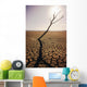 USA, California, Tree snag and cracked mud in dry lake bed Wall Mural