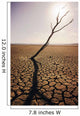 USA, California, Tree snag and cracked mud in dry lake bed Wall Mural