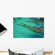 Seaweed floating in turquoise ocean water on coastline Wall Mural