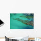 Seaweed floating in turquoise ocean water on coastline Wall Mural