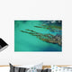 Seaweed floating in turquoise ocean water on coastline Wall Mural
