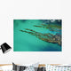 Seaweed floating in turquoise ocean water on coastline Wall Mural