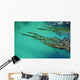 Seaweed floating in turquoise ocean water on coastline Wall Mural
