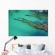 Seaweed floating in turquoise ocean water on coastline Wall Mural