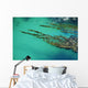 Seaweed floating in turquoise ocean water on coastline Wall Mural