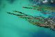 Seaweed floating in turquoise ocean water on coastline Wall Mural