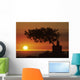 Sunset On Horizon Wall Mural