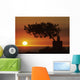 Sunset On Horizon Wall Mural