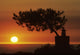 Sunset On Horizon Wall Mural