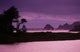 California, Sonoma Coast At Dusk, Jenner, Russian River Entering Ocean Wall Mural