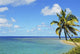Fiji, Blue And Turquoise Ocean With Palm Tree And Sandy Beach Wall Mural