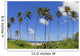 Fiji, Tall Palm Trees Line A Tropical Beach Wall Mural