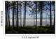 Ocean Trees