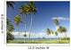 Grassy shoreline with tall palm trees Wall Mural