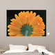 Closeup Of Yellow Flower Wall Mural
