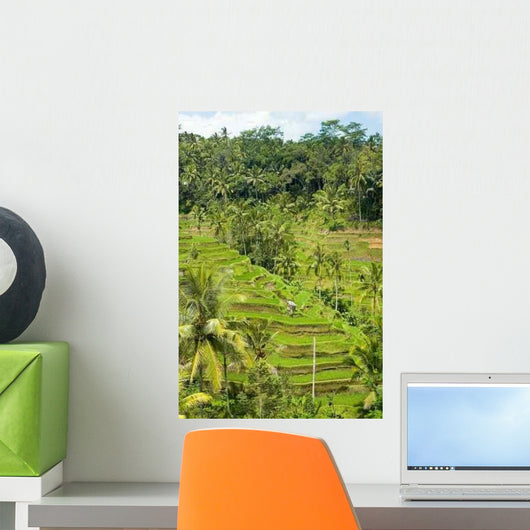 Rice Terraces Landscape Wall Decal