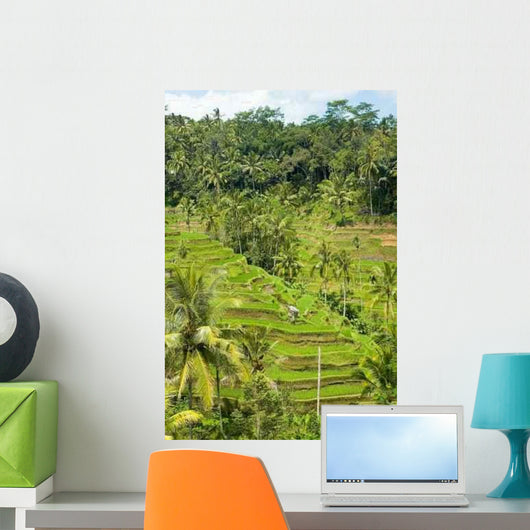 Rice Terraces Landscape Wall Decal