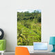 Rice Terraces Landscape Wall Decal
