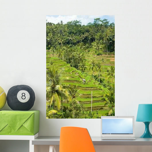 Rice Terraces Landscape Wall Decal