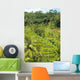 Rice Terraces Landscape Wall Decal