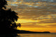 Silhouette Of Palm Trees Along The Ocean Wall Mural