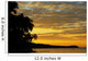 Silhouette Of Palm Trees Along The Ocean Wall Mural