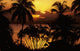 Fiji, Sunset Over Suva Bay, Silhouetted Palm Trees In Foreground Wall Mural