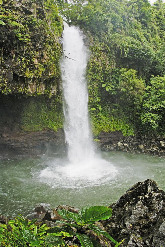 Fiji, Taveuni, Tavoro Waterfall cascading into tropical pool Wall Mural