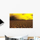Cracked mud in dry lake bed in warm afternoon lighting Wall Mural