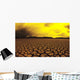 Cracked mud in dry lake bed in warm afternoon lighting Wall Mural