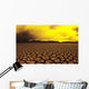 Cracked mud in dry lake bed in warm afternoon lighting Wall Mural