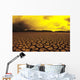 Cracked mud in dry lake bed in warm afternoon lighting Wall Mural