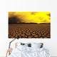 Cracked mud in dry lake bed in warm afternoon lighting Wall Mural