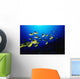 Hawaii, Schooling Raccoon Butterflyfish Over Reef Wall Mural